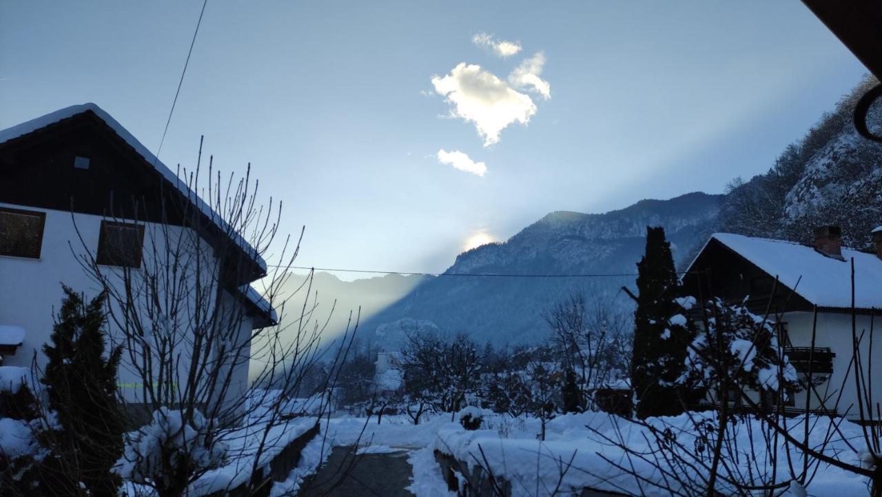 Alp House Hotell Bohinjska Bela Eksteriør bilde